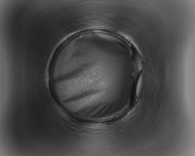 X0000087741024200705291008