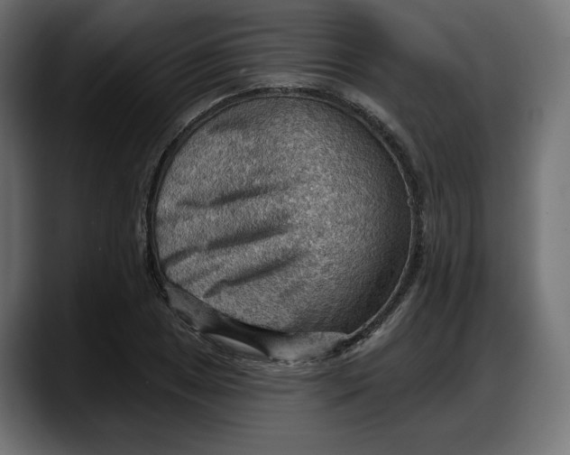 X0000087741025200705291008