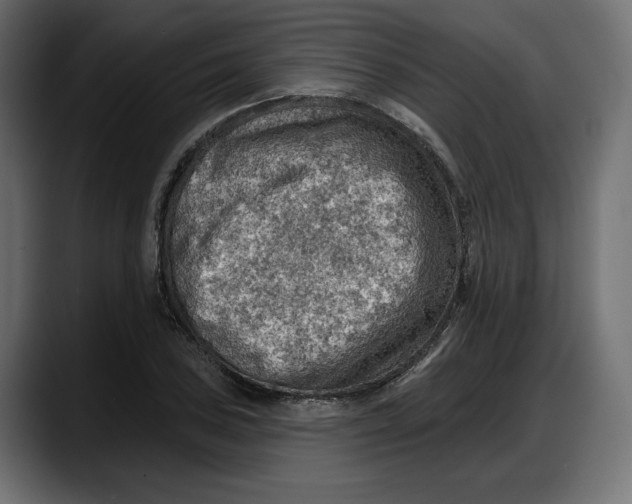 X0000087741027200705291008