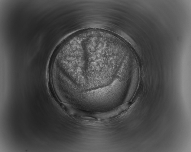 X0000087741028200705291008