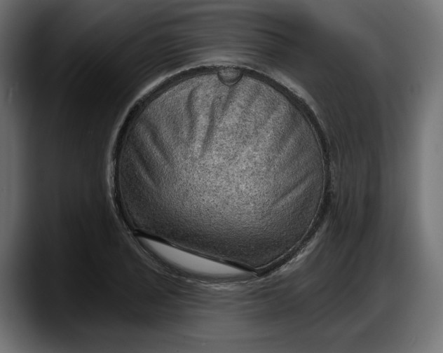 X0000087741029200705291008