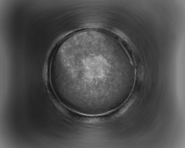 X0000087741030200705291008
