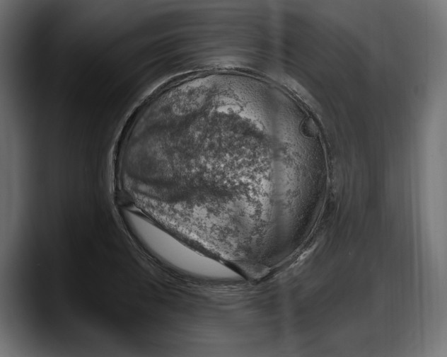 X0000087741031200705291008