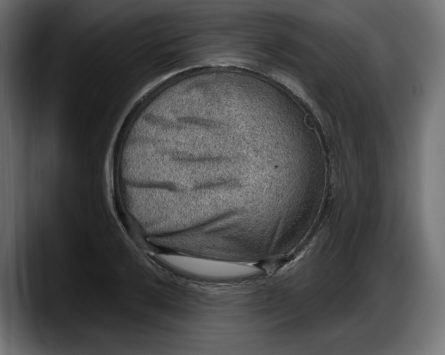 X0000087741032200705291008