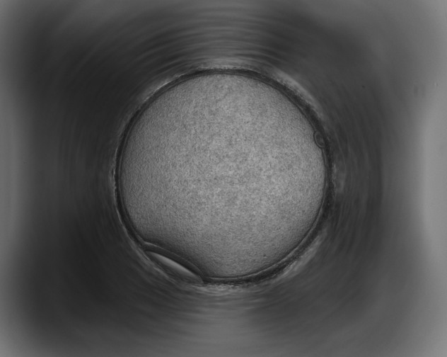 X0000087741033200705291008