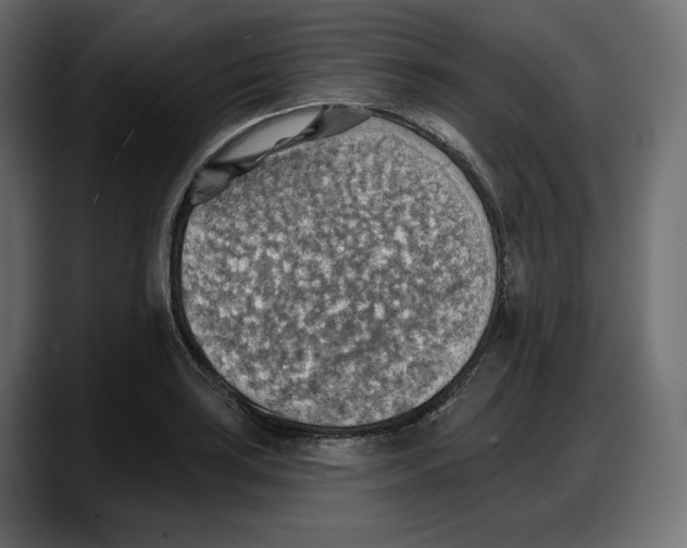 X0000087741035200705291008