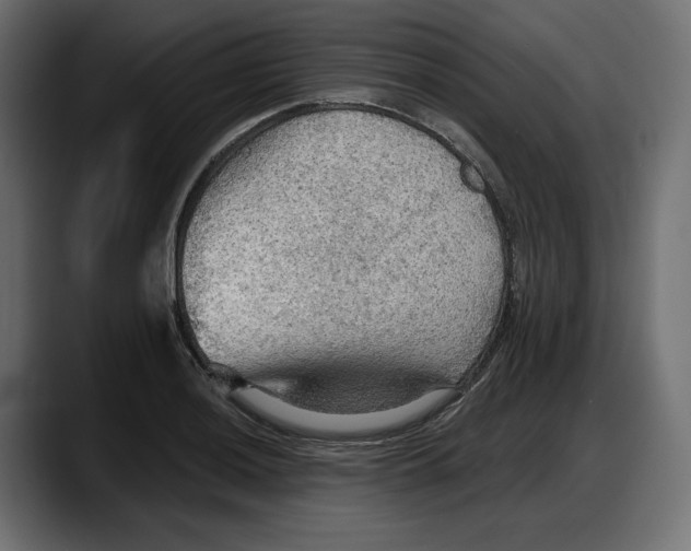 X0000087741036200705291008