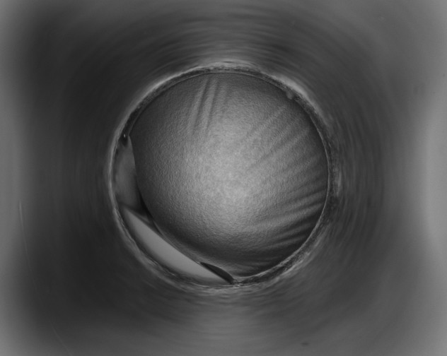 X0000087741038200705291008