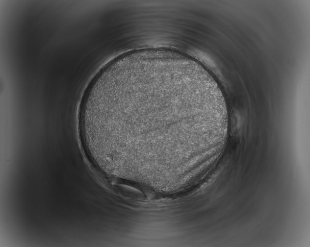 X0000087741039200705291008