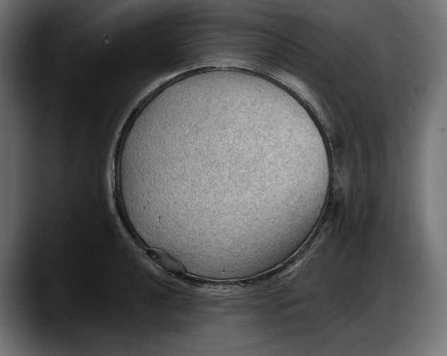 X0000087741040200705291008