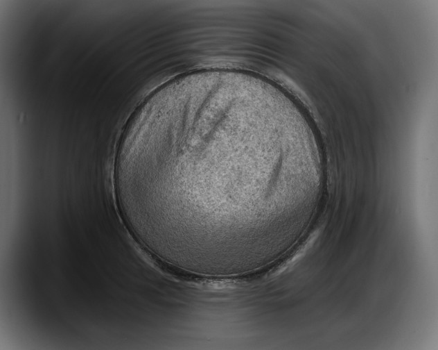 X0000087741041200705291009