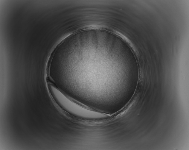 X0000087741042200705291009