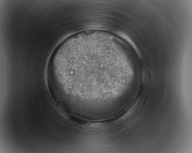 X0000087741043200705291009