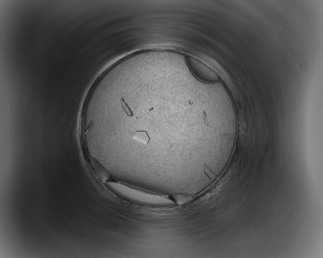 X0000087741044200705291009