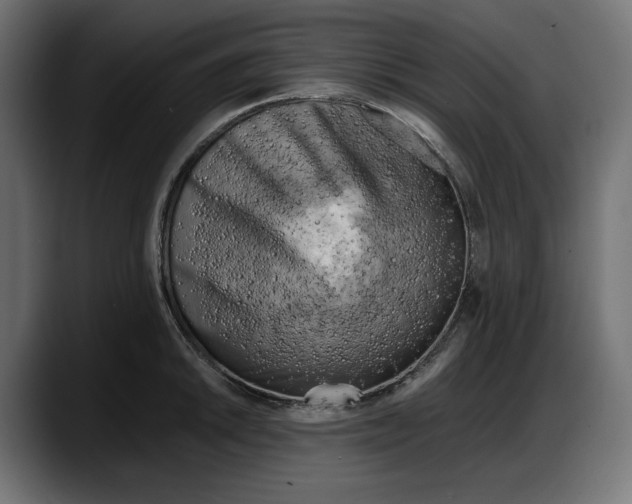 X0000087741046200705291009