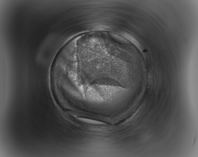 X0000087741047200705291009