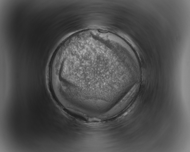 X0000087741048200705291009