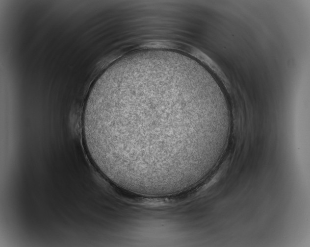 X0000087741049200705291009