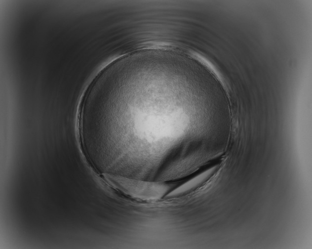 X0000087741050200705291009