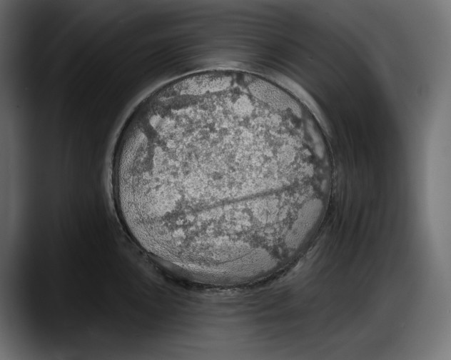 X0000087741051200705291009
