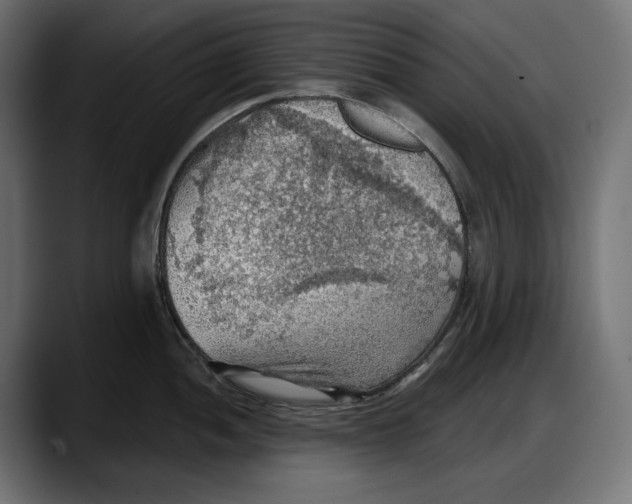 X0000087741052200705291009