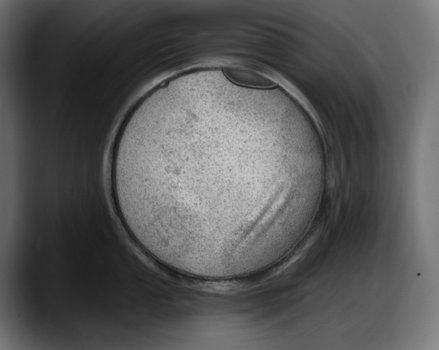 X0000087741053200705291009