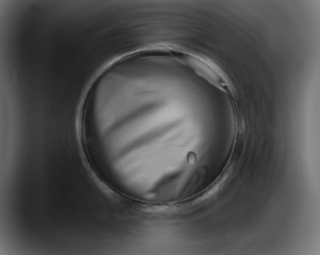 X0000087741054200705291009