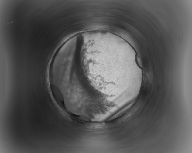 X0000087741055200705291009