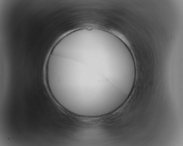 X0000087741056200705291009