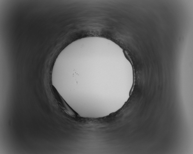 X0000087741057200705291008