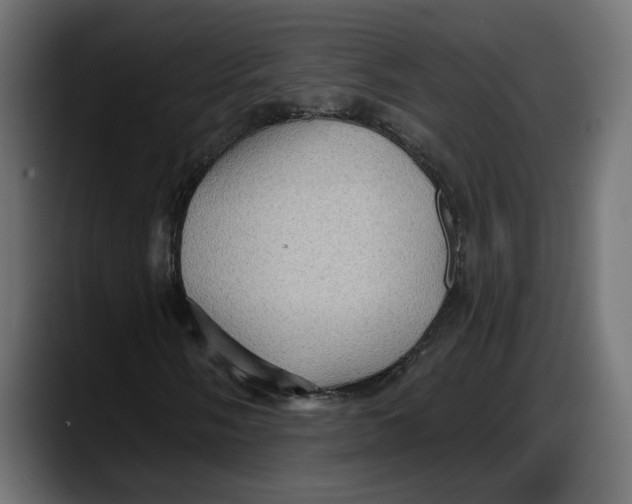 X0000087741058200705291008