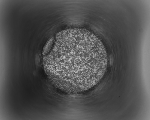 X0000087741059200705291008