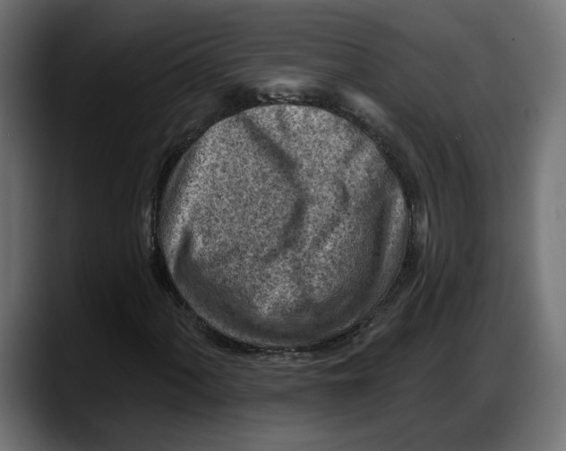 X0000087741060200705291008