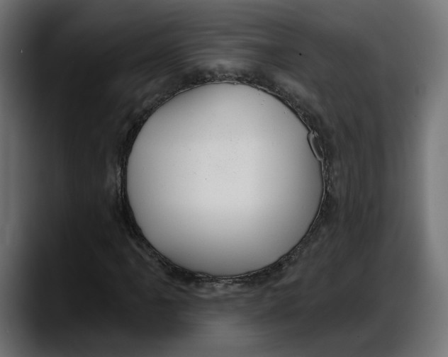 X0000087741061200705291008