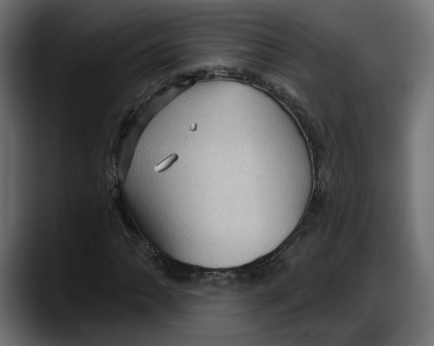 X0000087741062200705291008