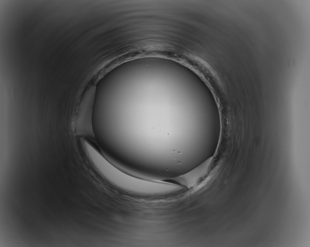X0000087741065200705291008