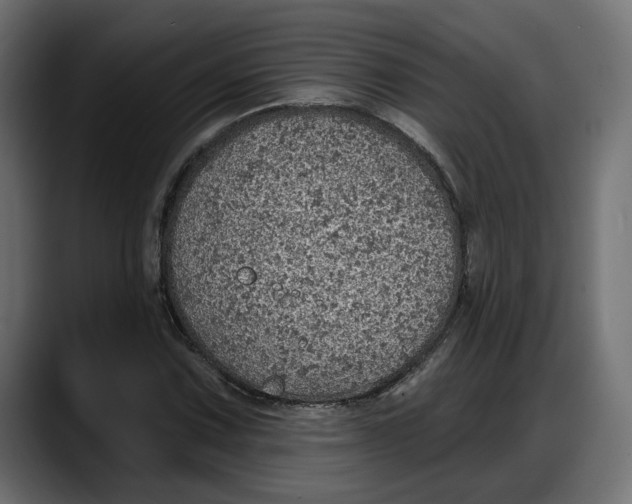 X0000087741067200705291008