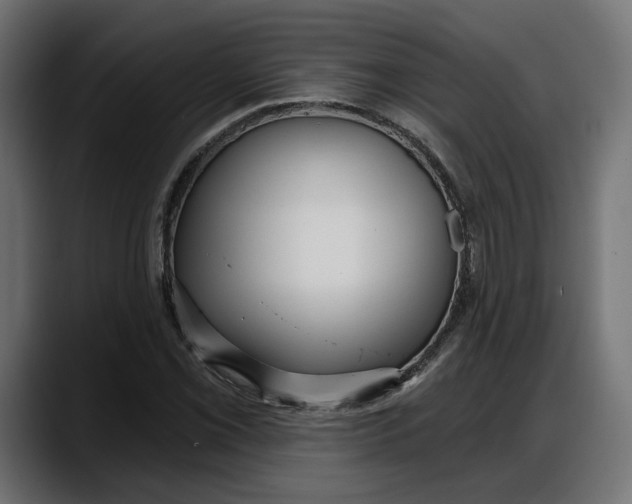 X0000087741069200705291008