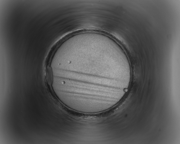 X0000087741070200705291008