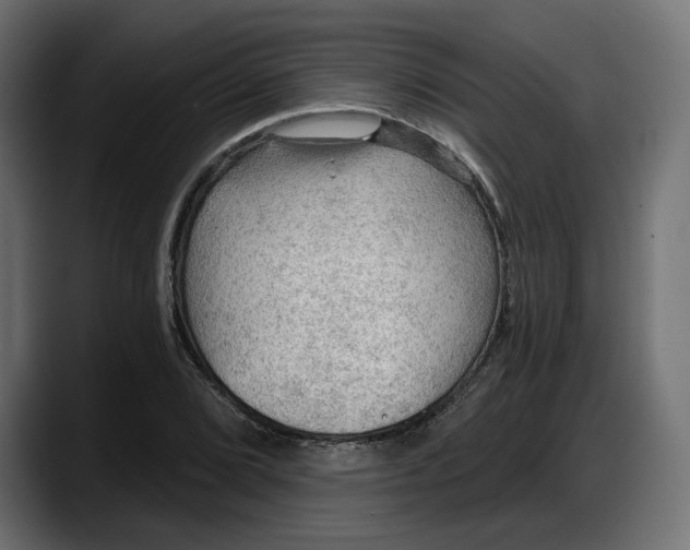 X0000087741072200705291008