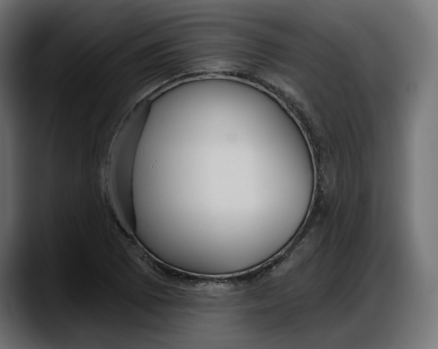 X0000087741073200705291008