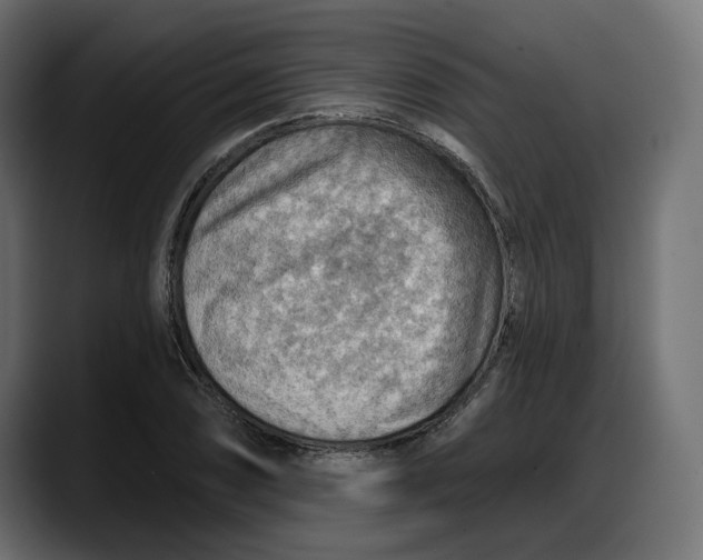 X0000087741074200705291008