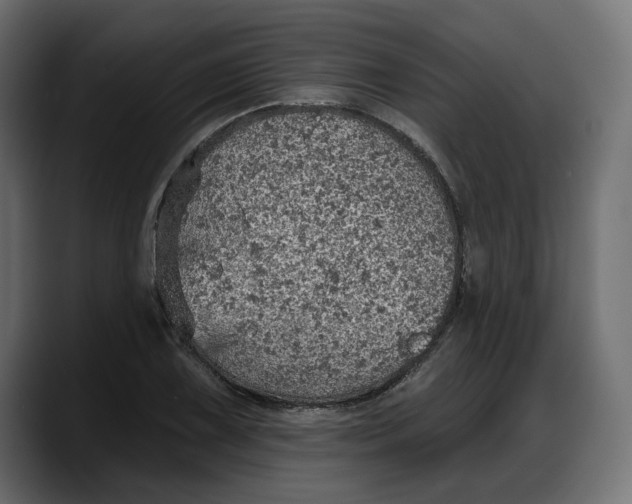 X0000087741075200705291008