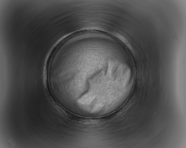 X0000087741076200705291008