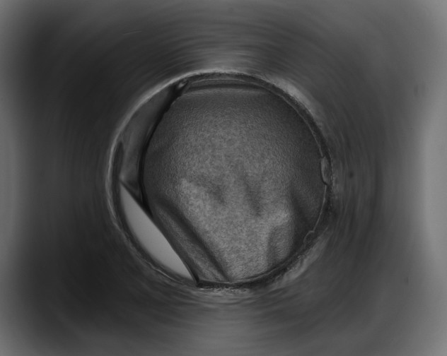 X0000087741077200705291008