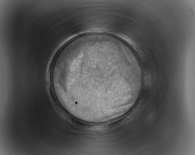 X0000087741078200705291008