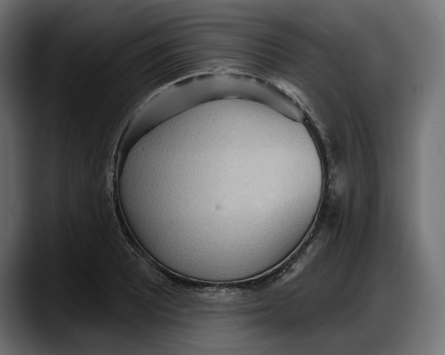 X0000087741081200705291008