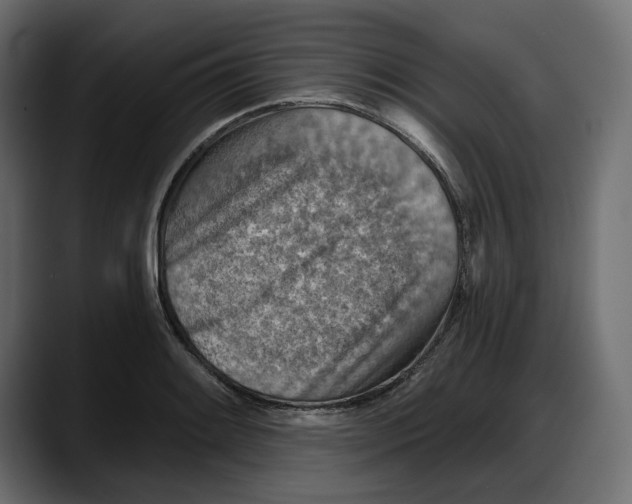 X0000087741084200705291008