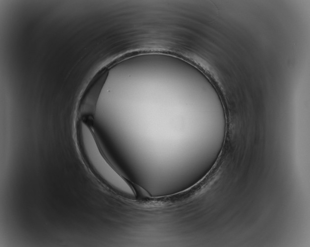 X0000087741085200705291008