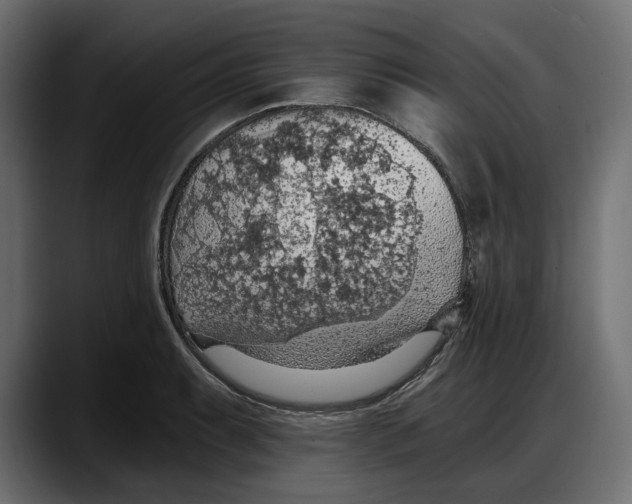 X0000087741087200705291008